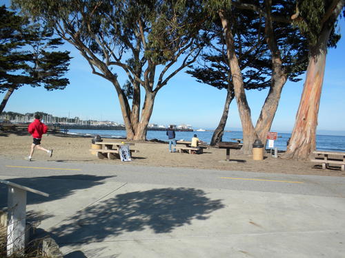 Bänke am Strand von Monterey